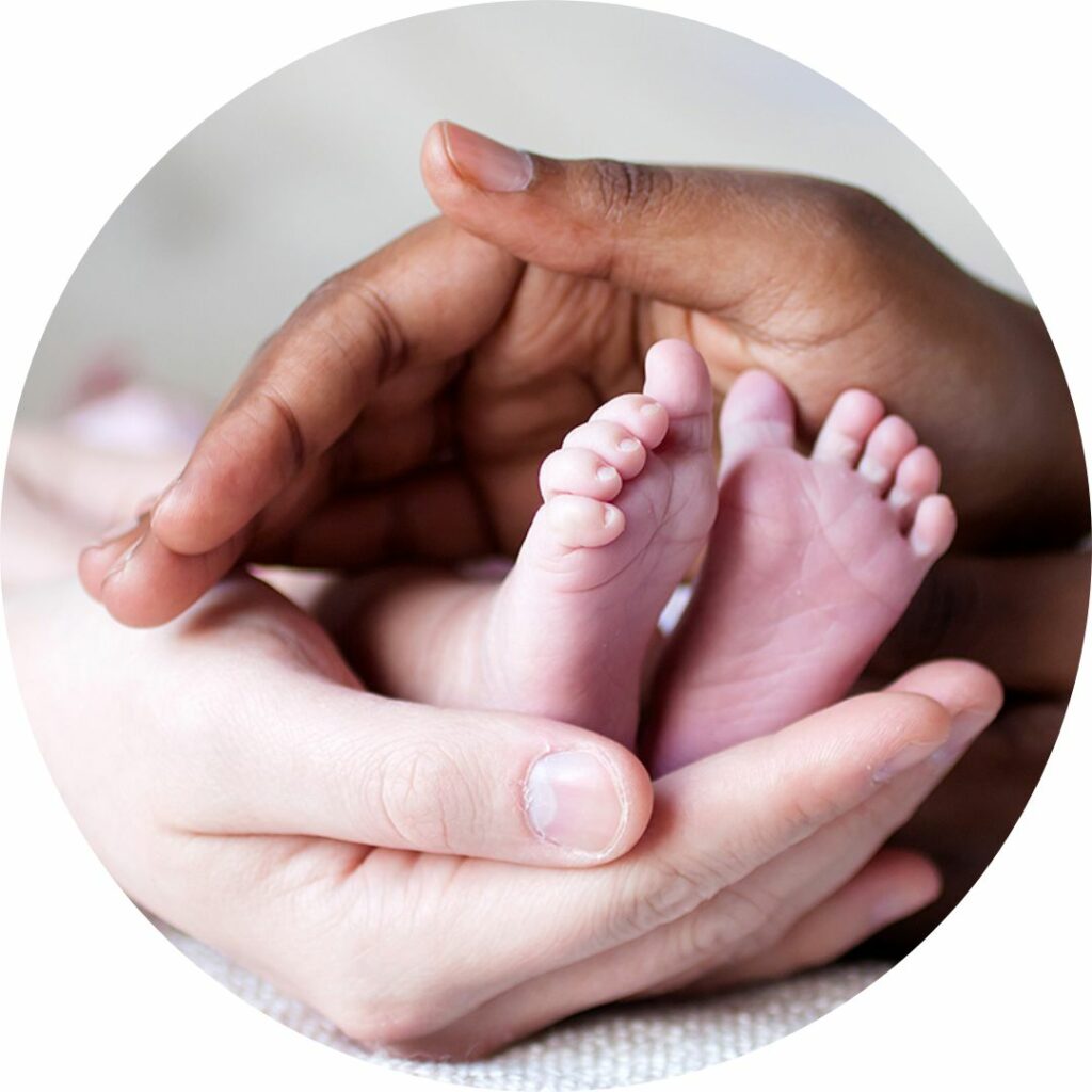 safed-musli-for-fertility