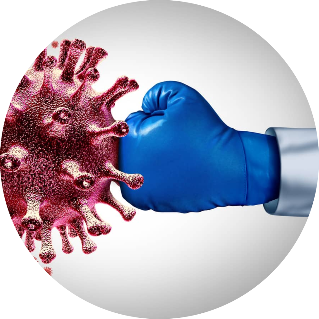 safed-musli-powder-for-imunity-booster