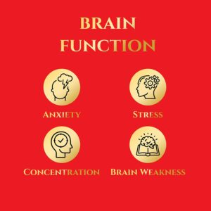 ashwagandha for brain health